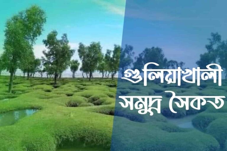 গুলিয়াখালী সমুদ্র সৈকত