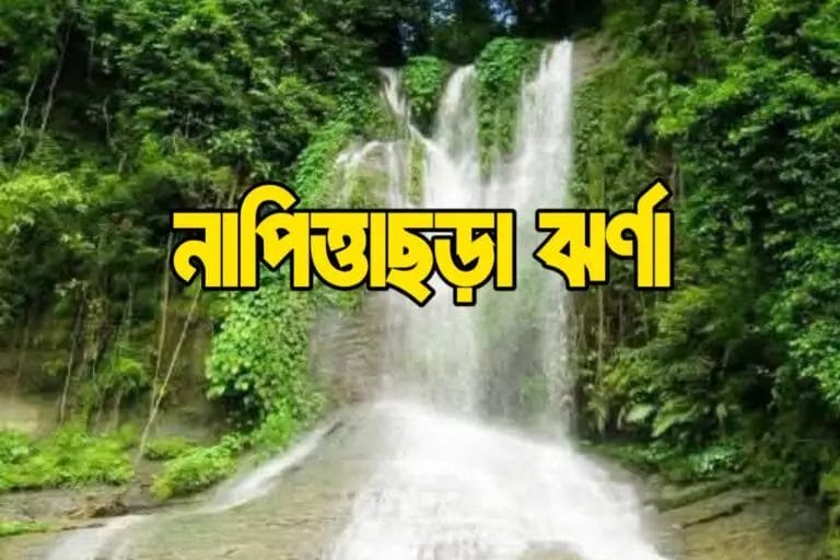 নাপিত্তাছড়া ঝর্ণা ও ট্রেইল