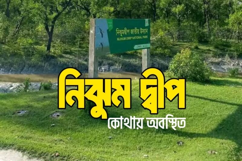 নিঝুম দ্বীপ কোথায় অবস্থিত