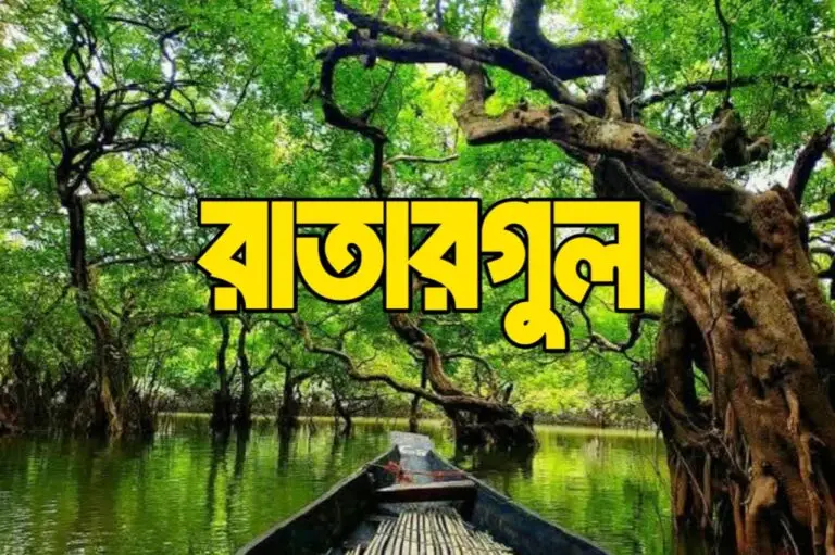 রাতারগুল সোয়াম্প ফরেস্ট