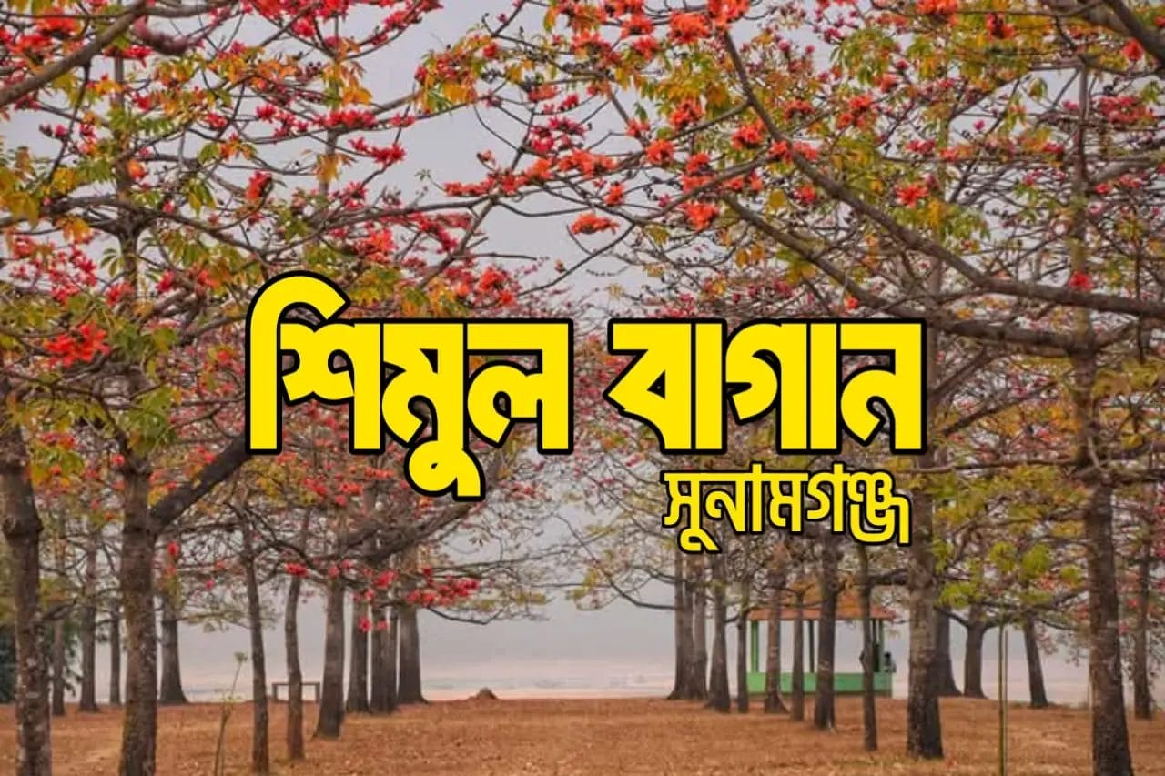 শিমুল বাগান সুনামগঞ্জ