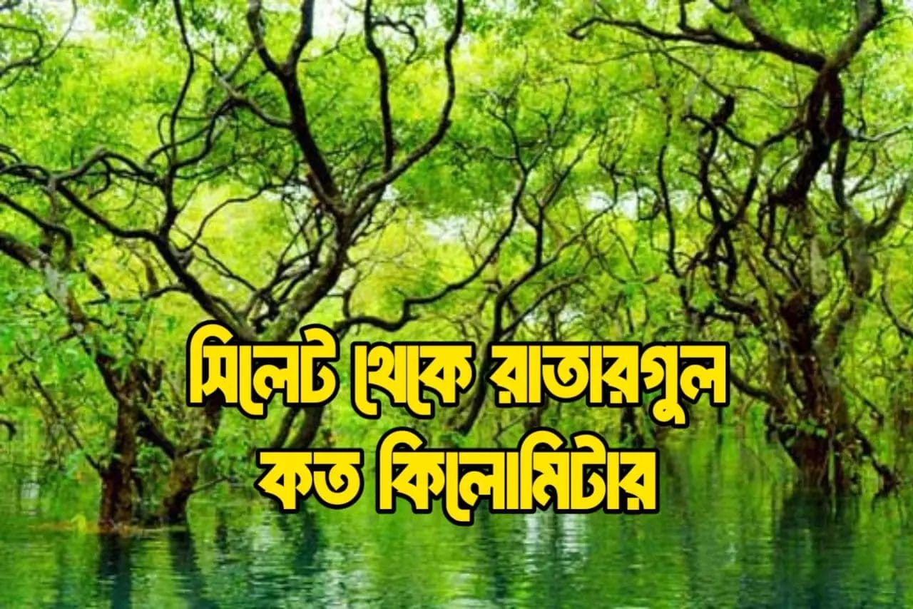 সিলেট থেকে রাতারগুল কত কিলোমিটার