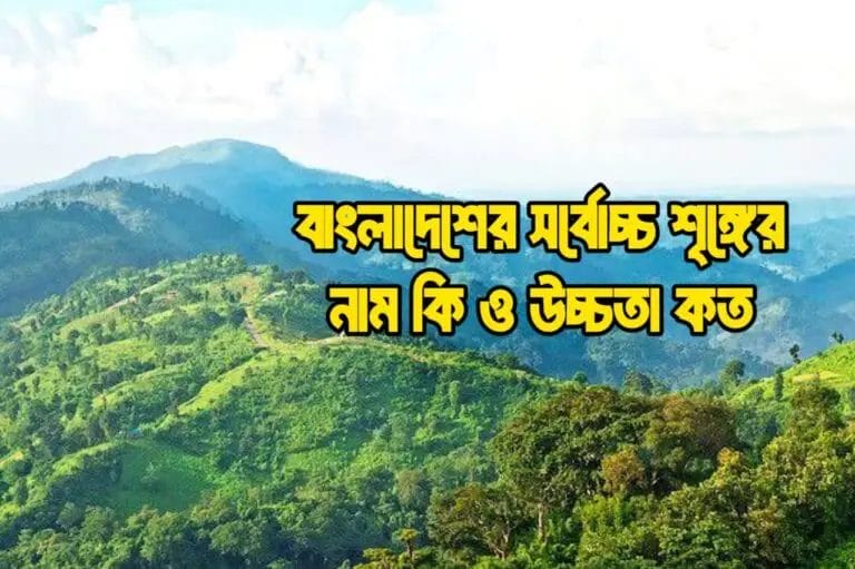 বাংলাদেশের সর্বোচ্চ শৃঙ্গের নাম কি ও উচ্চতা কত