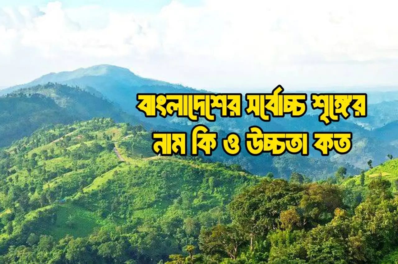 বাংলাদেশের সর্বোচ্চ শৃঙ্গের নাম কি ও উচ্চতা কত