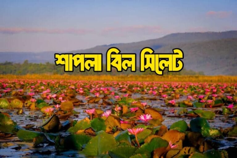 শাপলা বিল সিলেট Shapla bill sylhet